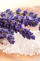 Image showing Lavender Spa 