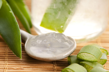 Image showing aloe vera juice with fresh leaves