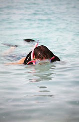 Image showing Snorkelling