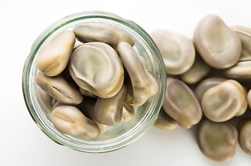 Image showing Broad Bean