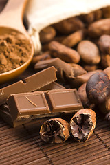 Image showing Cocoa (cacao) beans with chocolate