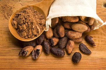 Image showing Cocoa (cacao) beans on natural wooden table