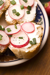 Image showing Sandwich with cheese, radish and chive - Healthy Eating 