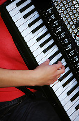 Image showing Accordion Player