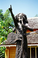 Image showing Reggae Musician