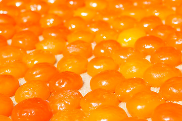 Image showing Salted and sun dried yolks of duck eggs 