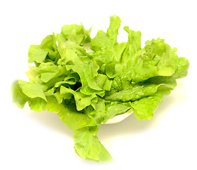 Image showing salad in plate
