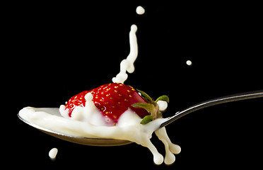 Image showing red, ripe strawberry falling in spoon with milk