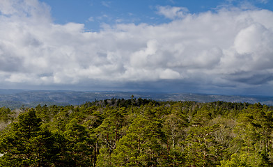 Image showing view over forest with cloudy sky