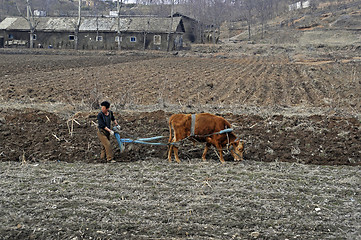 Image showing Northkorea