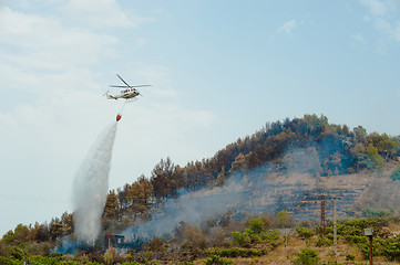 Image showing Firefighters