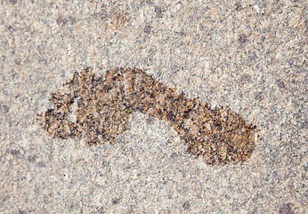 Image showing Wet footprint on granite