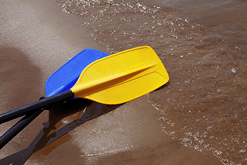 Image showing Kayak paddles