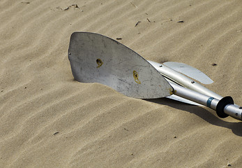 Image showing Kayak paddles laying in the sand