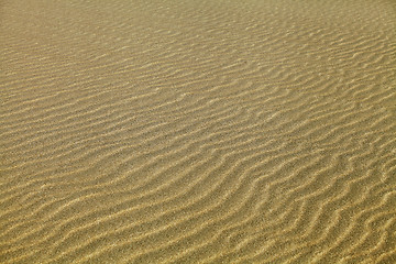 Image showing Rippled sand