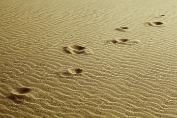 Image showing Footprints in the sand