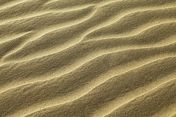 Image showing Rippled sand