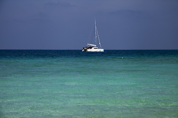 Image showing Catamaran