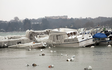 Image showing Shipping frozen