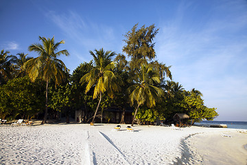 Image showing Beach vacation