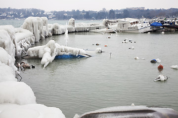 Image showing Shipping frozen