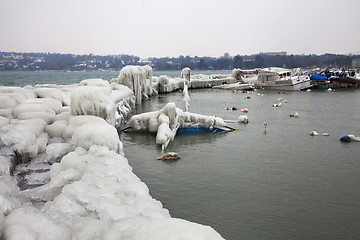 Image showing Shipping frozen