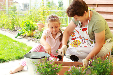 Image showing Child helps by replanting