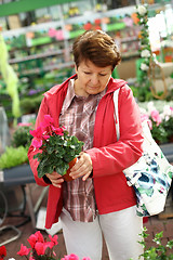 Image showing Senior woman in flower shop