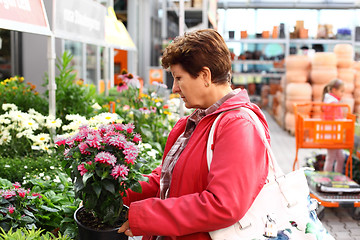 Image showing Senior woman in flower shop