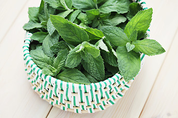 Image showing fresh mint