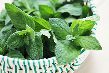 Image showing fresh mint