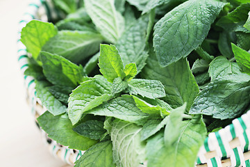 Image showing fresh mint