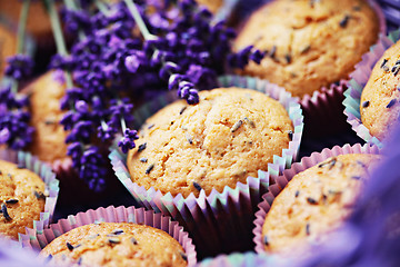 Image showing lavender muffins