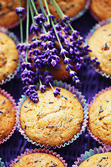 Image showing lavender muffins