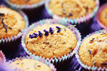 Image showing lavender muffins