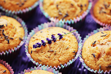 Image showing lavender muffins