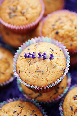 Image showing lavender muffins