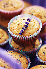 Image showing lavender muffins