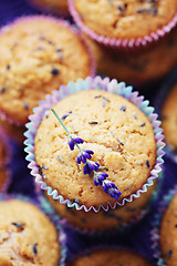 Image showing lavender muffins