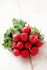 Image showing fresh radish