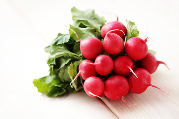 Image showing fresh radish