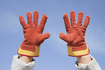 Image showing Two working gloves against the blue sky