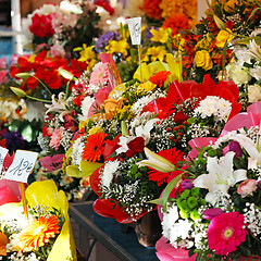 Image showing Flower store