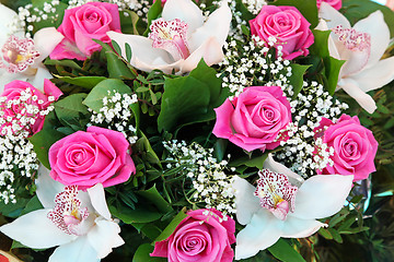 Image showing Pink roses