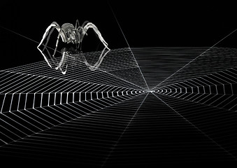 Image showing lurking metallic spider and web