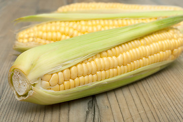 Image showing Corn Cobs