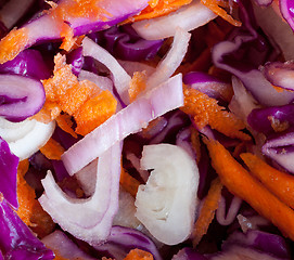 Image showing Macro image of cole slaw