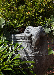 Image showing Large stone urn with plants in english garden