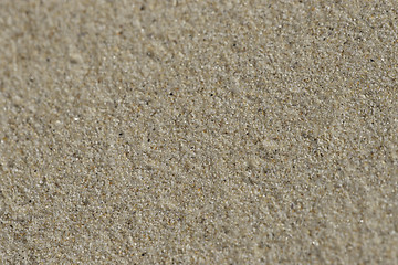 Image showing sand background texture