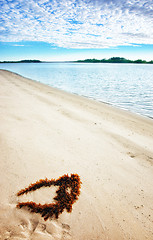 Image showing seaweed on perfect beach